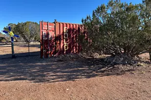 30653 W Basconia Ln, Seligman, AZ 86337 - Photo 48