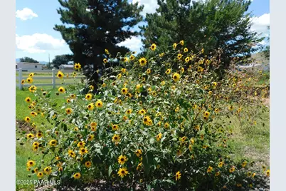 3250 N Mountain View Drive, Prescott Valley, AZ 86314 - Photo 54