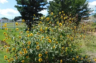 3250 N Mountain View Dr, Prescott Valley, AZ 86314 - Photo 54