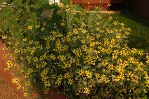 3250 N Mountain View Dr, Prescott Valley, AZ 86314 - Photo 38