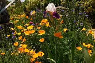 3250 N Mountain View Dr, Prescott Valley, AZ 86314 - Photo 48