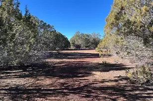 32425 W Our St, Seligman, AZ 86337 - Photo 34