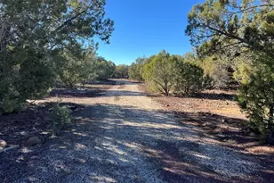 32425 W Our St, Seligman, AZ 86337 - Photo 36
