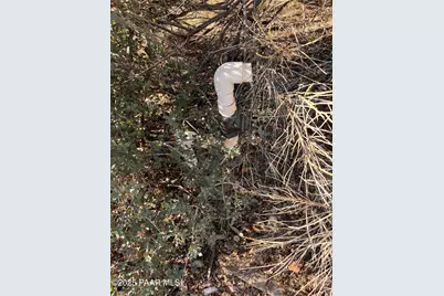 8565 S Donegal Drive, Wilhoit, AZ 86332 - Photo 18