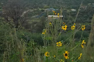 16928 W Trap Rd, Kirkland, AZ 86332 - Photo 32