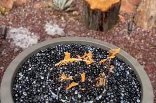 1960 Iris Ln, Sedona, AZ 86336 - Photo 56