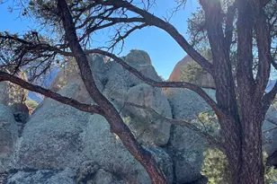 9760 N Clear Fork Rd, Prescott, AZ 86305 - Photo 6