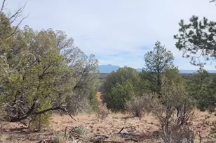 S2 Lot 92 Off Indian Springs, Ash Fork, AZ 86320 - Photo 1