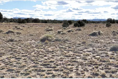 Lot690&691 691 Cr 5270 (Old Hunt Rd) Rwm, Concho, AZ 85924 - Photo 8