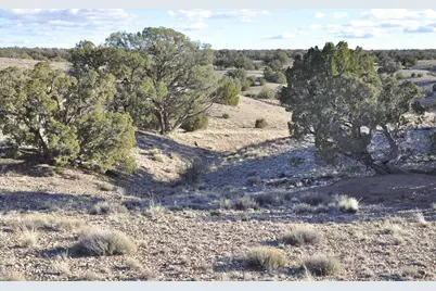 Lot690&691 691 Cr 5270 (Old Hunt Rd) Rwm, Concho, AZ 85924 - Photo 30