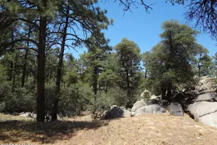 110 Grace Ave, Prescott, AZ 86303 - Photo 4