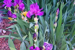 1125 N Wagon Wheel Pl, Chino Valley, AZ 86323 - Photo 52