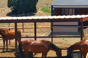 1125 N Wagon Wheel Pl, Chino Valley, AZ 86323 - Photo 48