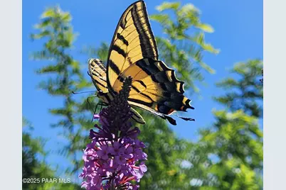 1125 N Wagon Wheel Place, Chino Valley, AZ 86323 - Photo 56
