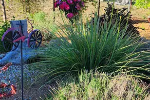 1125 N Wagon Wheel Pl, Chino Valley, AZ 86323 - Photo 32