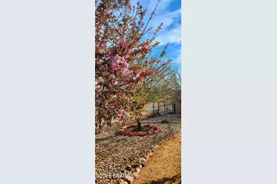 1125 N Wagon Wheel Place, Chino Valley, AZ 86323 - Photo 50