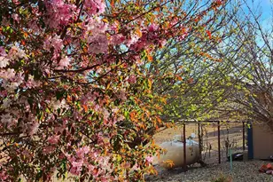 1125 N Wagon Wheel Pl, Chino Valley, AZ 86323 - Photo 50