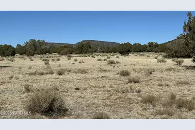 932C SW Thirsty Burro Road, Seligman, AZ 86337 - Photo 1