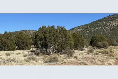 932C SW Thirsty Burro Road, Seligman, AZ 86337 - Photo 4