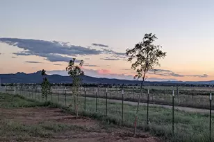 26817 N Sweet Pea Bud Ln, Paulden, AZ 86334 - Photo 28