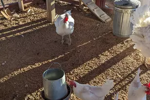 26817 N Sweet Pea Bud Ln, Paulden, AZ 86334 - Photo 26