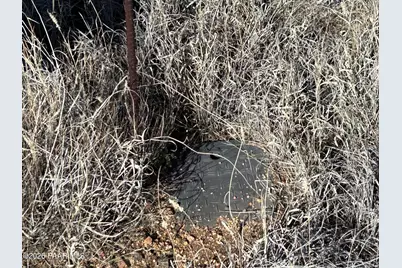 17327 S Rocky Boy Way, Peeples Valley, AZ 85362 - Photo 4