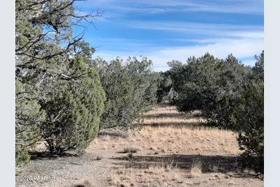 31616 W Calle Barril, Seligman, AZ 86337 - Photo 6