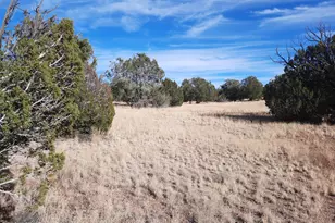 31616 W Calle Barril, Seligman, AZ 86337 - Photo 1