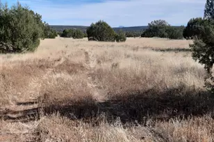 32381 W Montecito Ln, Seligman, AZ 86337 - Photo 1