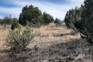 32563 W Ancho Rd, Seligman, AZ 86337 - Photo 1