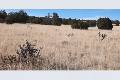 58840 N Tambor Road, Seligman, AZ 86337 - Photo 2
