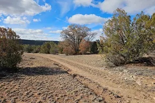 30022 W Amalia Rd, Seligman, AZ 86337 - Photo 1