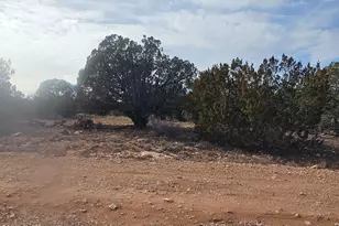 56056 N Bridge Canyon Pkwy, Seligman, AZ 86337 - Photo 1