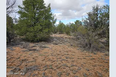 56450 N Shadow Mountain Parkway, Seligman, AZ 86337 - Photo 1