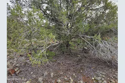 55644 N Potrero Parkway, Seligman, AZ 86337 - Photo 10