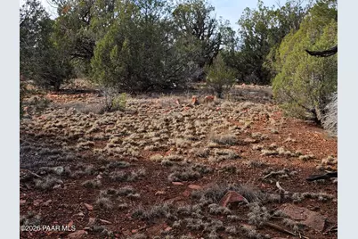 55644 N Potrero Parkway, Seligman, AZ 86337 - Photo 16
