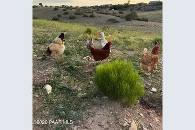3058 W Tortoise Lane, Chino Valley, AZ 86323 - Photo 48