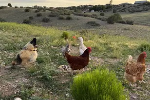 3058 W Tortoise Ln, Chino Valley, AZ 86323 - Photo 48