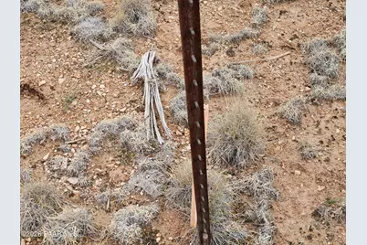 32667 W Conejo Road, Seligman, AZ 86337 - Photo 8