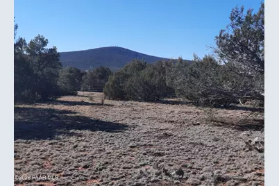 33175 Cowboy Clint Way, Seligman, AZ 86337 - Photo 10