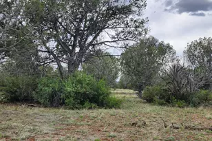 97 C Rattlesnake, Ash Fork, AZ 86320 - Photo 4