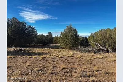 37916-A W Howling Coyote Road, Seligman, AZ 86337 - Photo 10