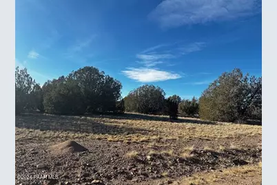 37916-A W Howling Coyote Road, Seligman, AZ 86337 - Photo 6