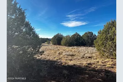 37916-A W Howling Coyote Road, Seligman, AZ 86337 - Photo 4