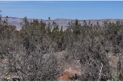Lot 928 Bridge Canyon Pkwy, Seligman, AZ 86337 - Photo 10