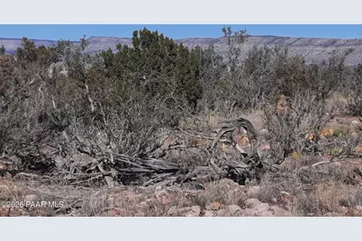 Lot 928 Bridge Canyon Pkwy, Seligman, AZ 86337 - Photo 12