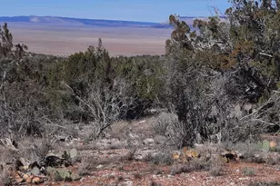 Lot 928 Bridge Canyon Parkway, Seligman, AZ 86337 - Photo 1