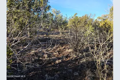 32397 W Camino Oso, Seligman, AZ 86337 - Photo 6