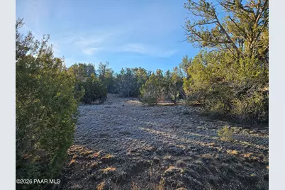 32397 W Camino Oso, Seligman, AZ 86337 - Photo 2