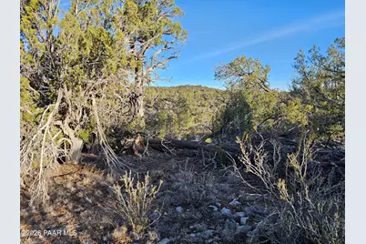32397 W Camino Oso, Seligman, AZ 86337 - Photo 18